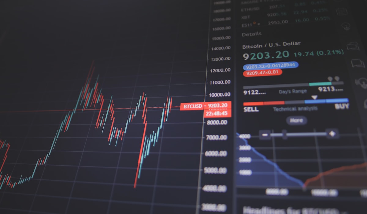 AI stock rally valuation and earnings